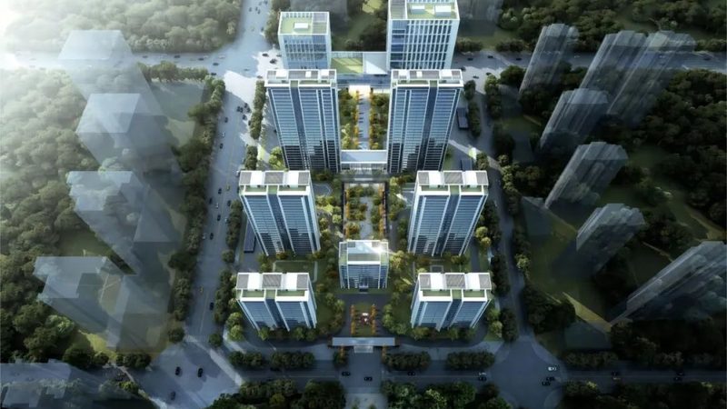 软件采购授权方式的揭秘：选择之道